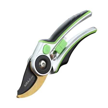 Professionella raka spetsträdgårdssaxar för att plocka frukt