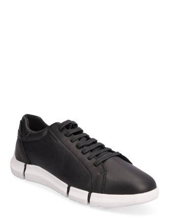 U Adacter A Shoes Sneakers Business Sneakers Sort GEOX