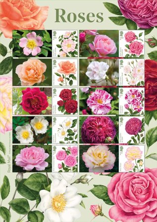 England - Roser - Postfrisk ark