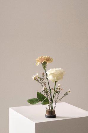 Jotex - Blomsterfakir Ø 4,6 Cm Svart/kobber - FIORE - Kjøp Krukker hos Jotex