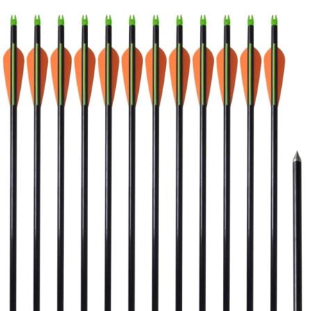 Vidaxl Pilar I Fiberglas För Compoundbåge Standard 30" 0,8 Cm 12 Multifärg