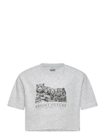 Bright Future Relaxed Crop Ss Grey VANS