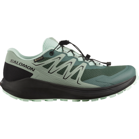 Salomon - Terrænløbesko Fodtøj Temper Gtx W - North Atlantic / Black