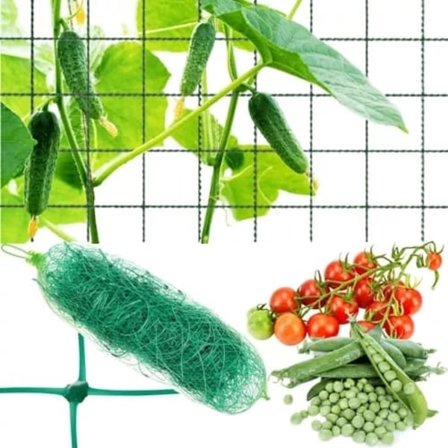 Plant Support Netting / Climbing Net for Plants - 2x10m