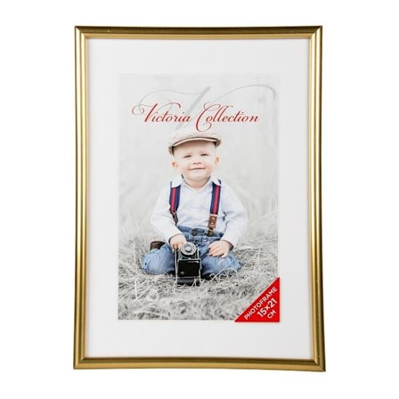 Valokuvakehys Future 15x21 kultaa