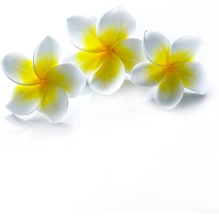 6 stk 2,7 tommers kunstig skum Plumeria Rubra blomsterhoder Hawaiia