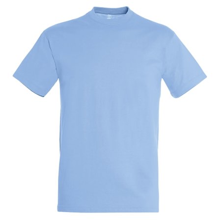SOLS Regent Kortärmad T-shirt för män M Sky Blue
