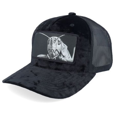 Calza Pennello - Svart trucker Keps - Grasshopper Big Patch Black Velvet Trucker @ Hatstore