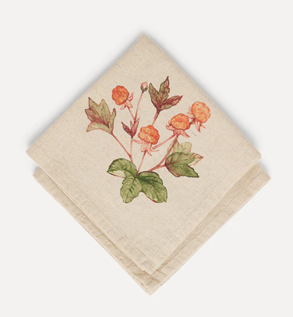 UND Servietter Multer 2pk bomull-lin