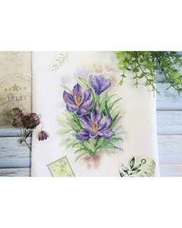 Stickpackung Bild Krokus