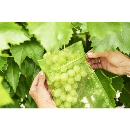 100 stk. drueklasebeskyttelsespose, størrelse: 30 x 20 cm, farve: grøn