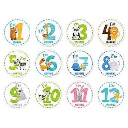 12 Stycken Decore 12 Månaders Foto Rekvisita Baby Shower Party Favörer Månadsdekaler Månatliga Milstolpe Klistermärken