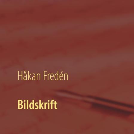 Bildskrift - Bok av Håkan Fredén - Häfte
