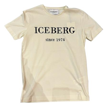 Iceberg, T-Shirts Beige, Heren, Maat:XL