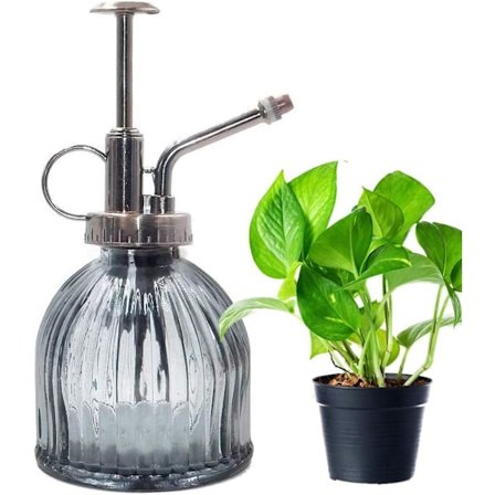 Plantesprøjte, Sprayflaske i glas til blomster og vandspray