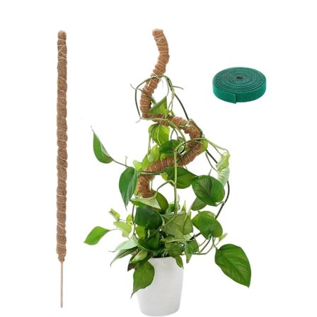 Plantestøtte / støttestav, Bøjelig Mosstav 70-100cm – Klatrestøtte 1/2-pakke, til indendørs planter, vedbend og monstera