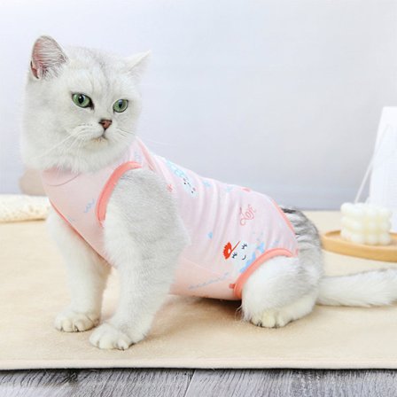 Cat Recovery Suit Katt efter operation Återhämtningsdräkt Husdjurssteriliseringsväst