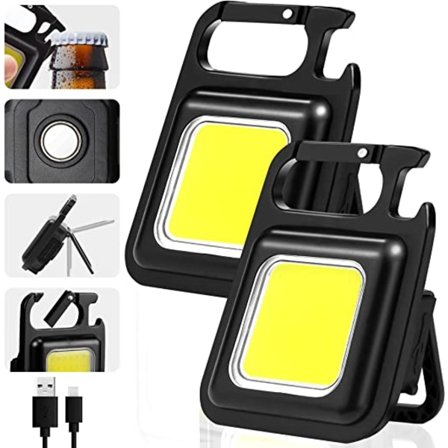 2 små lommelykter (300mA), 500 lumen oppladbare nøkkelring fla