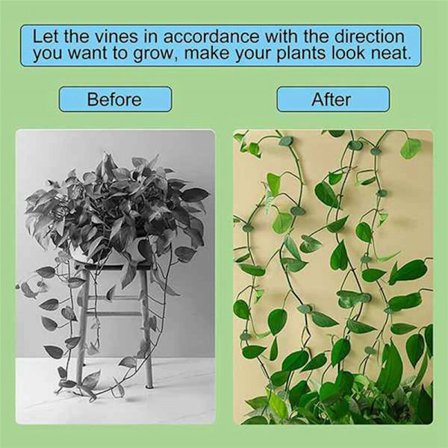 400 kappaletta sarjan kasvien kiipeilyseinän kiinnitysklipsit Kasvien kiinnitysklipsit Viiniköynnökset Puutarhan vihreät lehtikasvien seinäkiinnikkeet