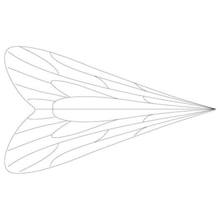 Pro Caddis Wings - M