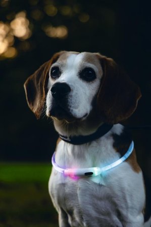 LED-Lyshalsbånd, Multi - 65cm