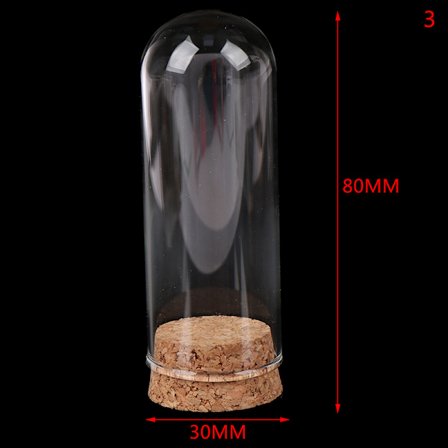 1/6 docka glaskupol display trä kork klockburk med trä bas