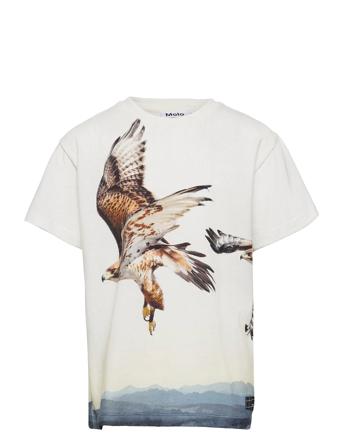 Raveno White Molo