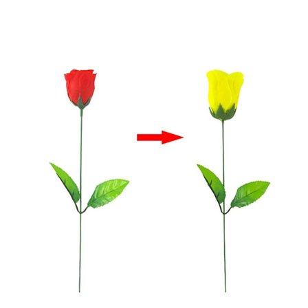 2 STK Farveskiftende Rose Rose Magic Tricks Flower Magic Trick