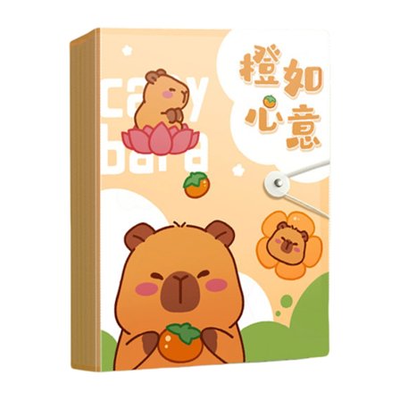 Sertifikatorganisator for studenter, profesjonelle og familiedokumentlagring