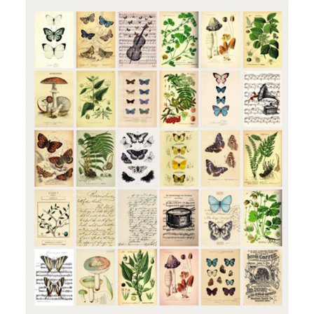 Postkortsett: 30 Vintage Stil Botaniske, Natur og Mayfly Post
