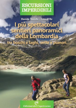 I più spettacolari sentieri panoramici della Lombardia. Tra boschi e laghi, vette e pianori Davide Necchi