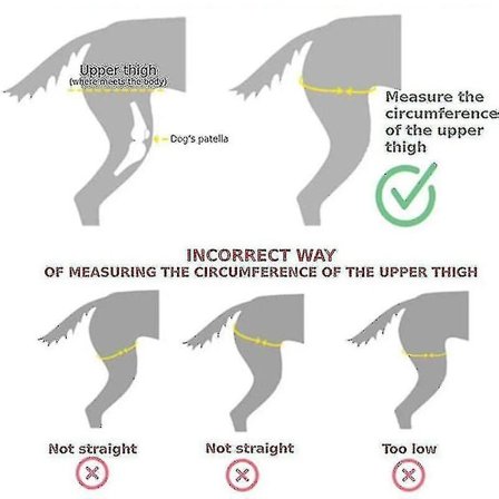 Hunde Knæbeskytter til ACL, Knæskalsdislokation, Gigt - Holder Leddet Varmt - Ekstra Støtte - Reducerer Smerter og Betændelse