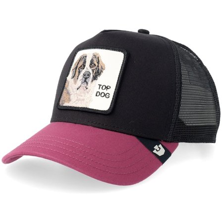 Goorin - Schwarz trucker Cap - The Top Dog Void Black A-Frame Trucker @ Hatstore