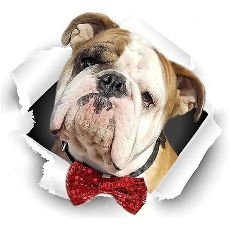 Bilsticker, 3D Bilstickere Vinyl Bilstickere Sjove Kreative Hund Bilsticker Dekal til Vindue, Vægge