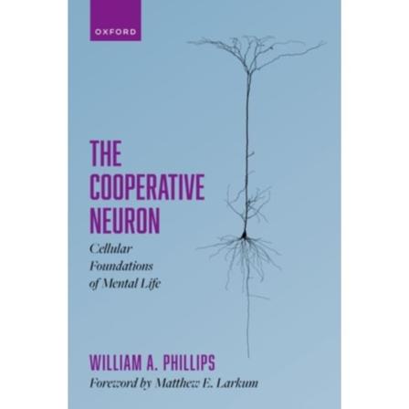 The Cooperative Neuron (inbunden, eng)