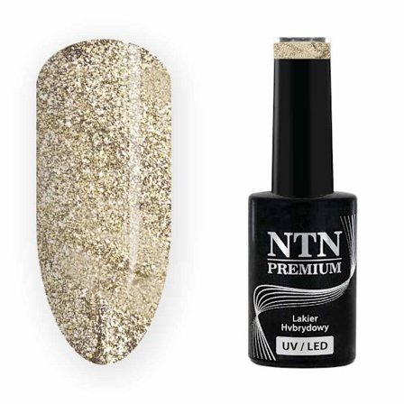 NTN Premium - Gel polish - Drama queen - Nr209 - 5g UV gel/LED