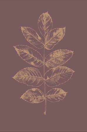 Malerifabrikken - Poster Botanica 2 - Rød - Postere - Fra Homeroom