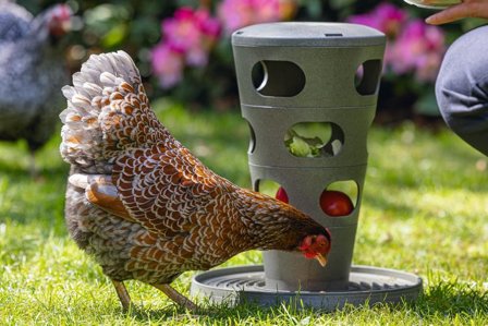 Feed Tower til Høns, Grå - 36cm