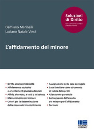 L'affidamento del minore Damiano Marinelli