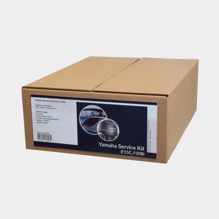 Kit de servicio 437964 / 500384 / DPR6EB-9 / P7077 para Mercury F25G