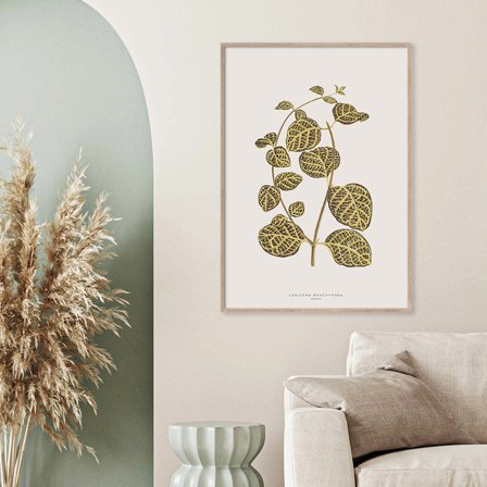 Lonicera Brachypoda — Plakat med flot illustration af plante fra Nature Remixed by Gehalt