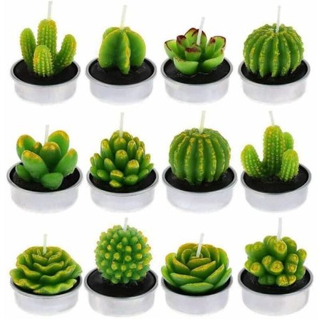 Stearinlys 6 stk Kaktuslys, Håndlagde Sukkulente Kaktus Telys for Spa H