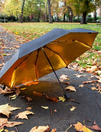 Suck UK Black & Gold Umbrella - Black - ONE SIZE
