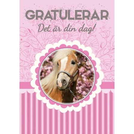 Easy Kids Card Onnittelut, se on sinun päiväsi, hevonen - pata