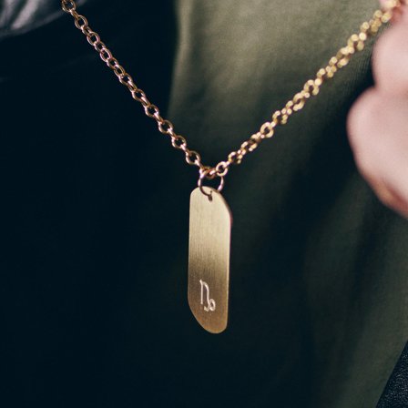 Colier cu zodia Capricorn din oțel auriu pentru bărbați