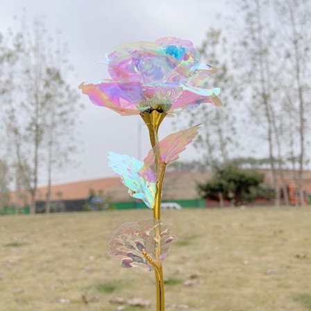 Rosor presenter till henne, presenter till kvinnor, presenter av rosblommor till kvinnors födelsedagspresenter, romantiska presenter till henne, 