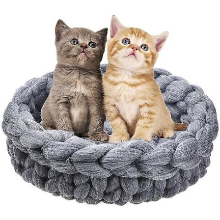 Katteseng Pute Hundebur Grov Ull Forberedelse Kull