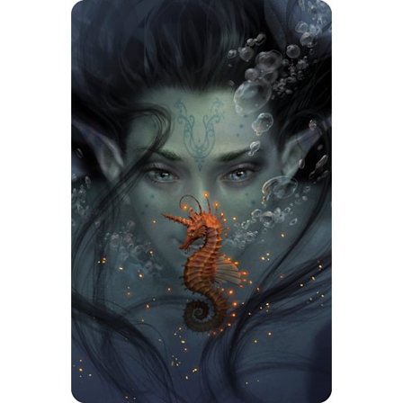 Not a Sea Horse (Unicorns)