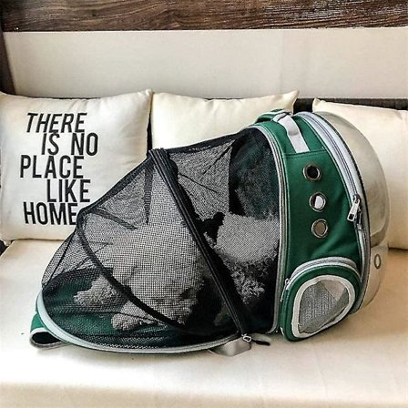 Katt Ryggsekkbærer Transparent Kapsel Boble Flere Ventilasjonshull