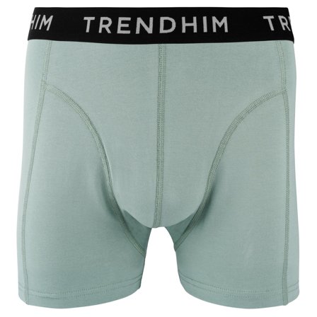 FlexFeel | Light Green Cotton Boxer Briefs for Men - Boxers